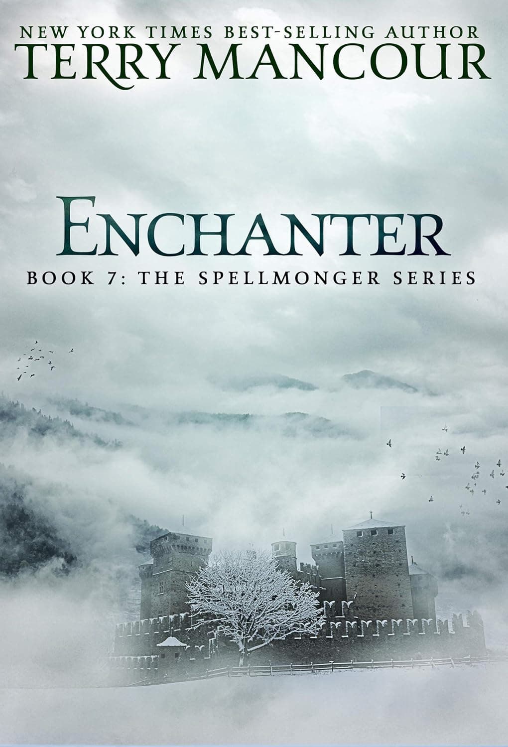 Cover of Enchanter by Terry Mancour