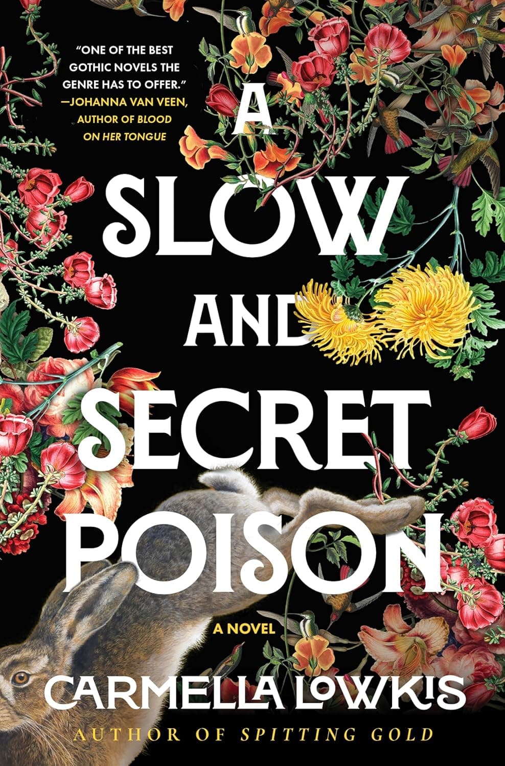 Cover of A Slow and Secret Poison: A Novel by Carmella Lowkis