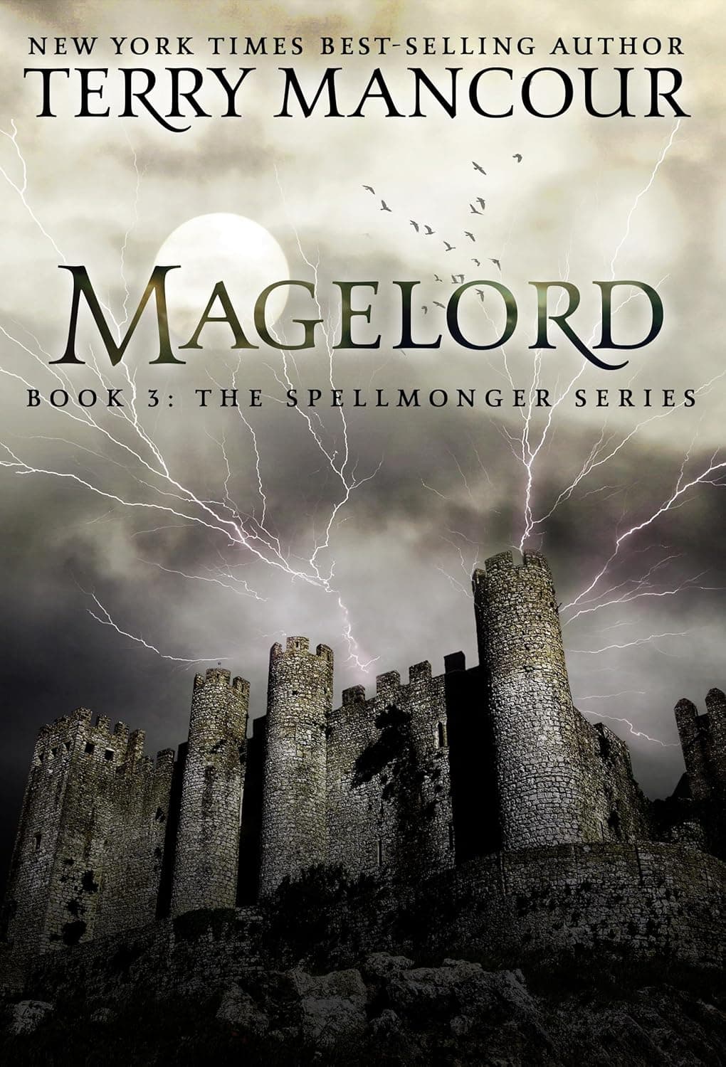 Cover of Magelord by Terry Mancour