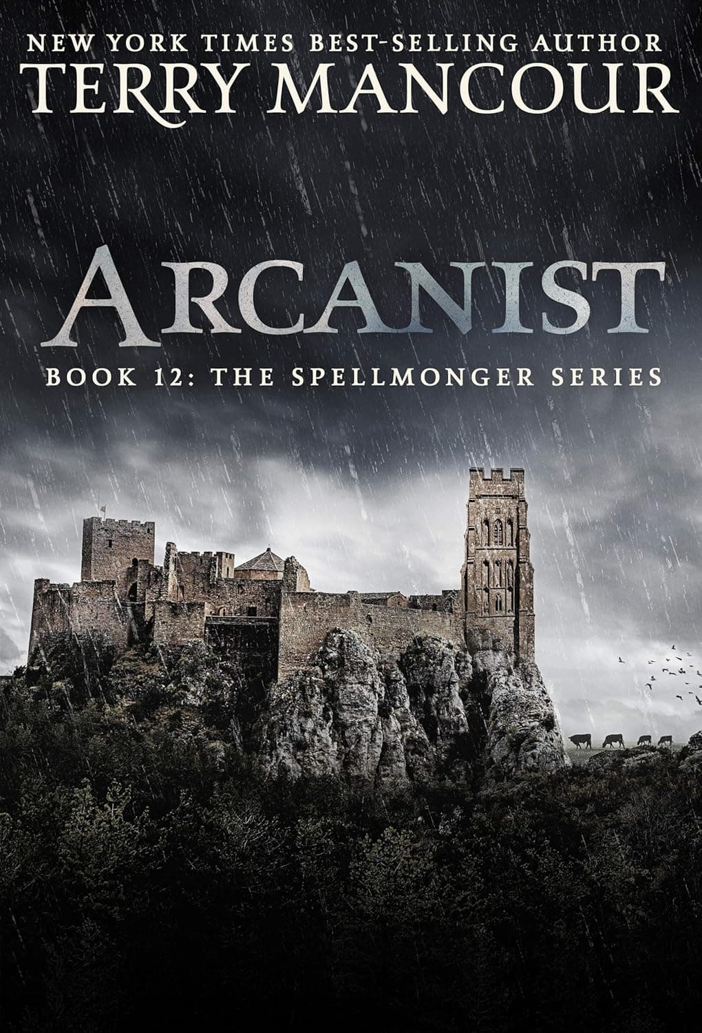 Cover of Arcanist by Terry Mancour