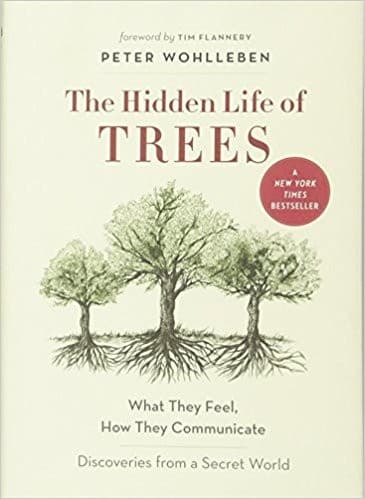 Cover of The Hidden Life of Trees by Peter Wohlleben