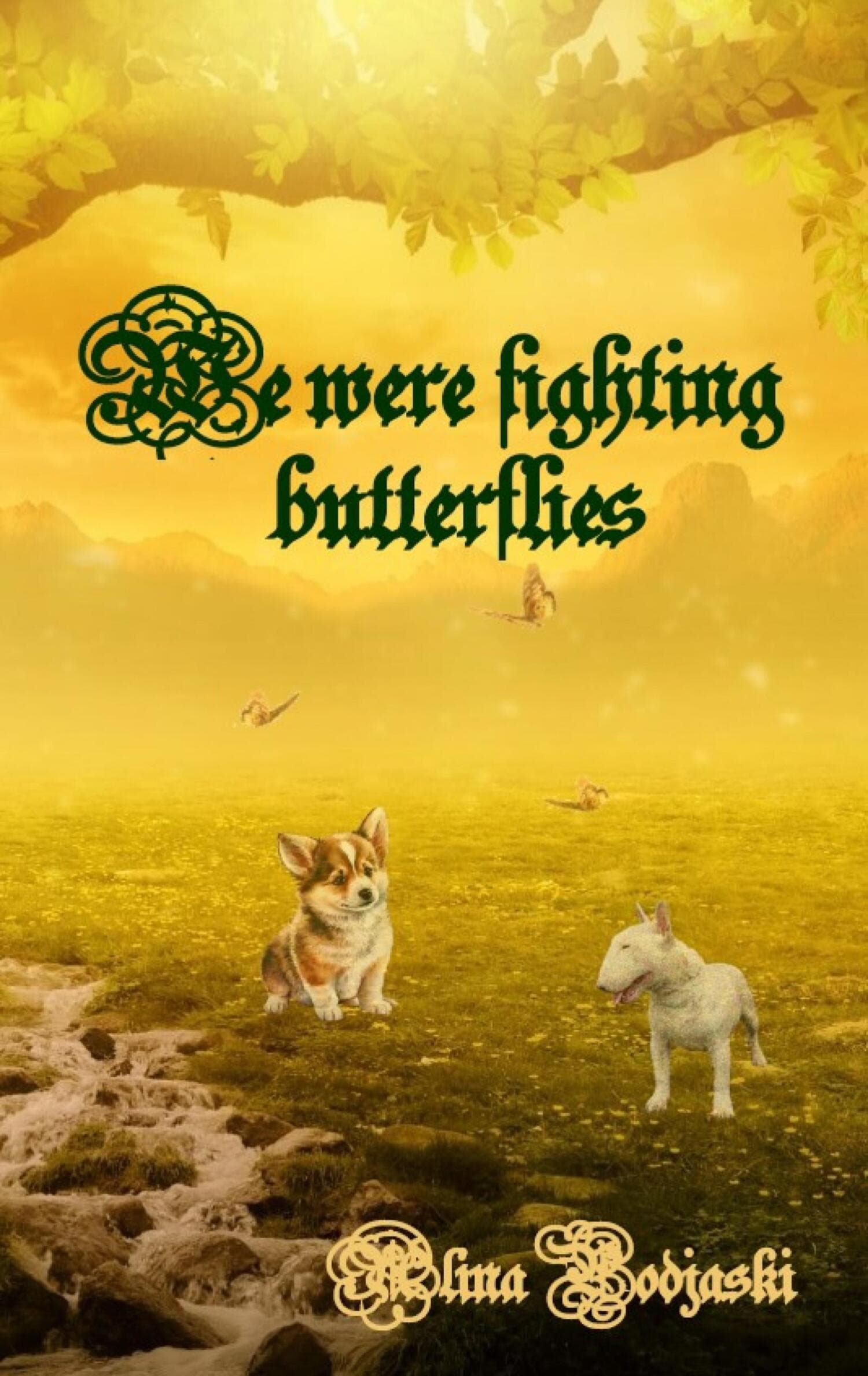 Cover of We were fighting butterflies by Alina Podjaski