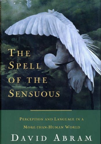 Cover of The Spell of the Sensuous: Perception and Language in a More-Than-Human World by David Abram