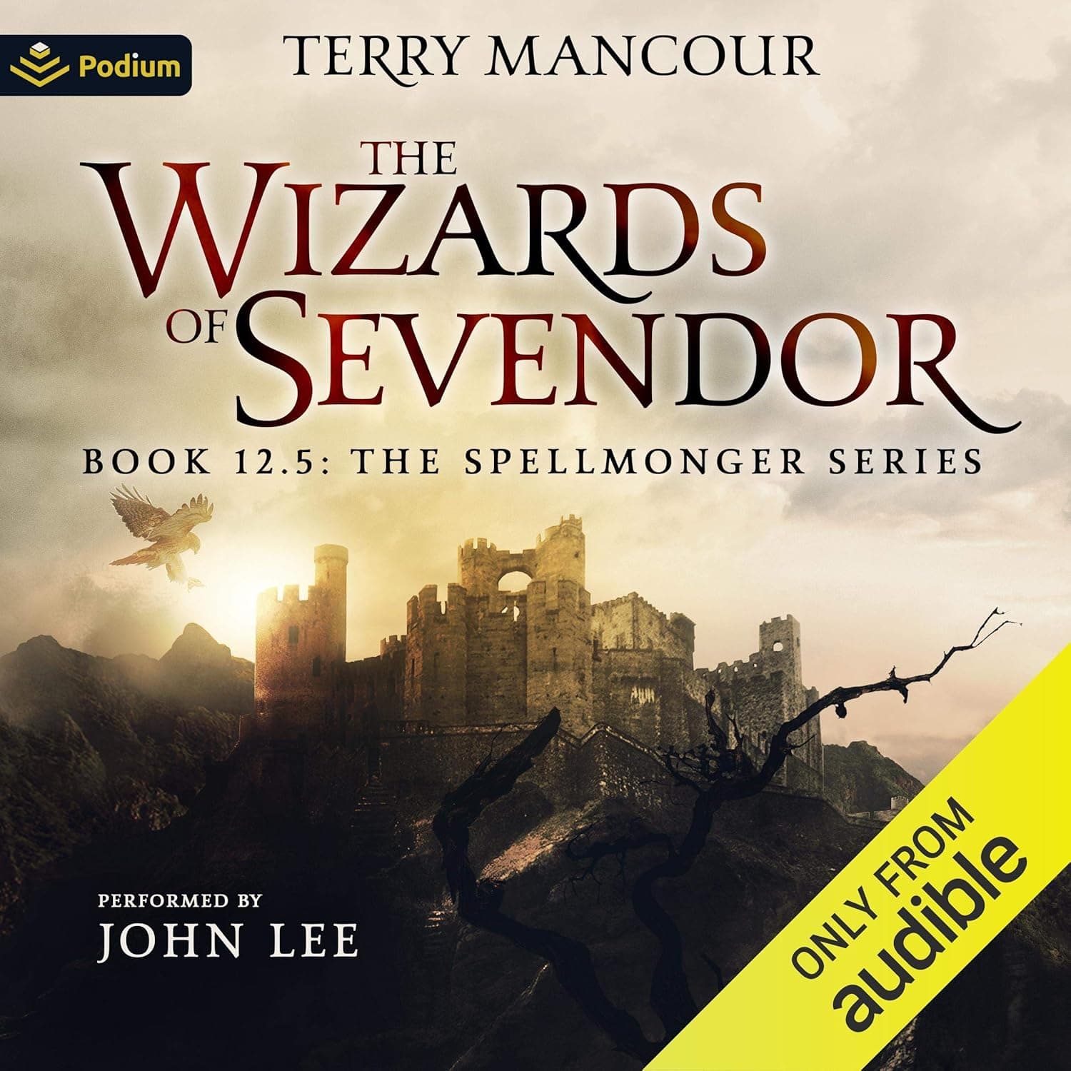 Cover of The Wizards of Sevendor by Terry Mancour