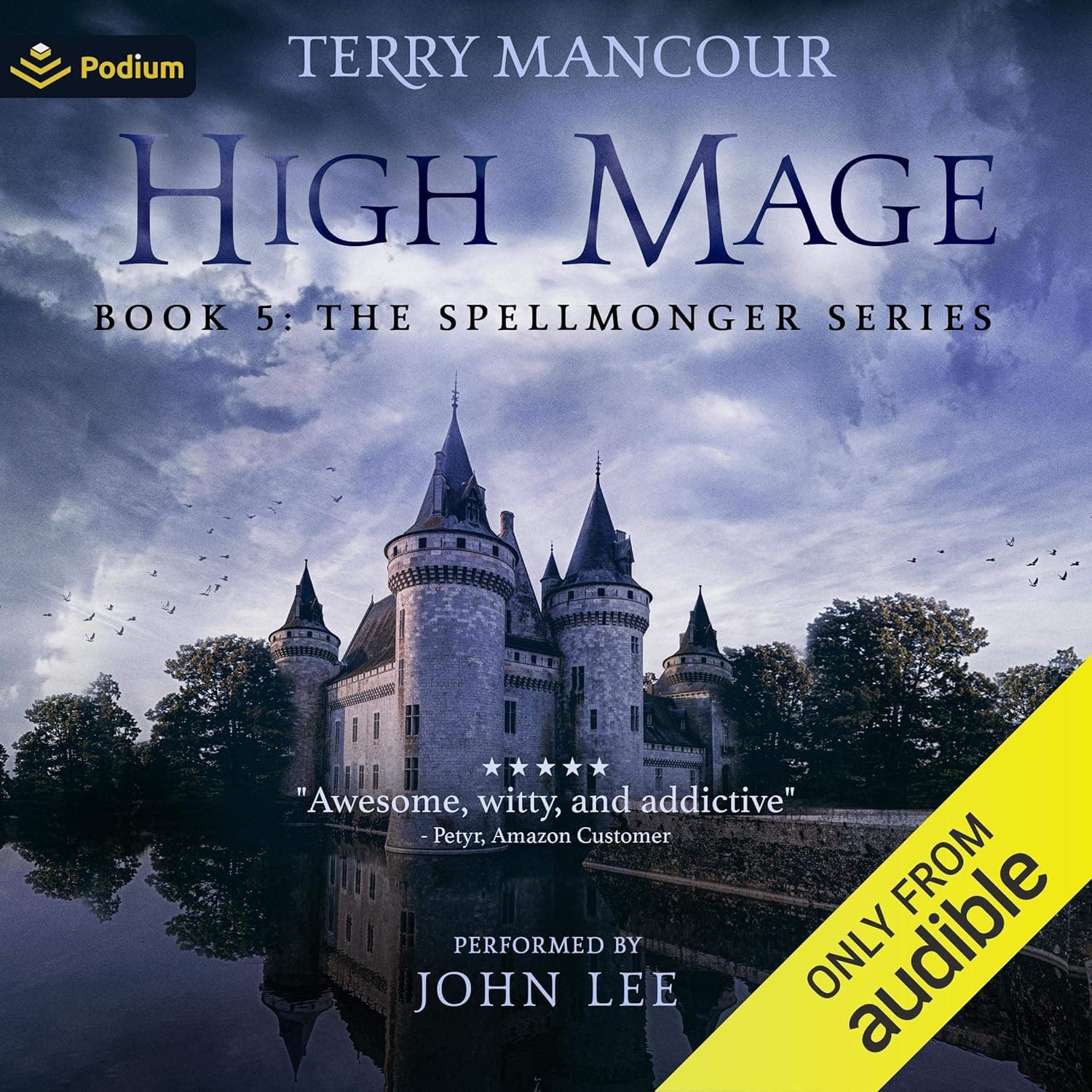 Cover of High Mage by Terry Mancour