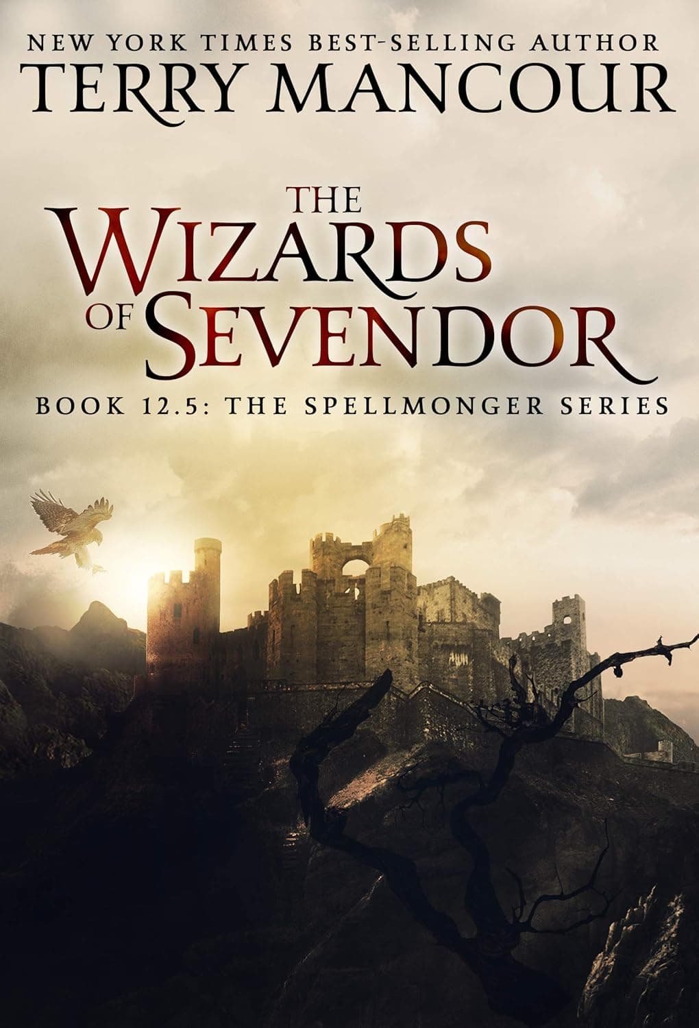 Cover of The Wizards of Sevendor by Terry Mancour