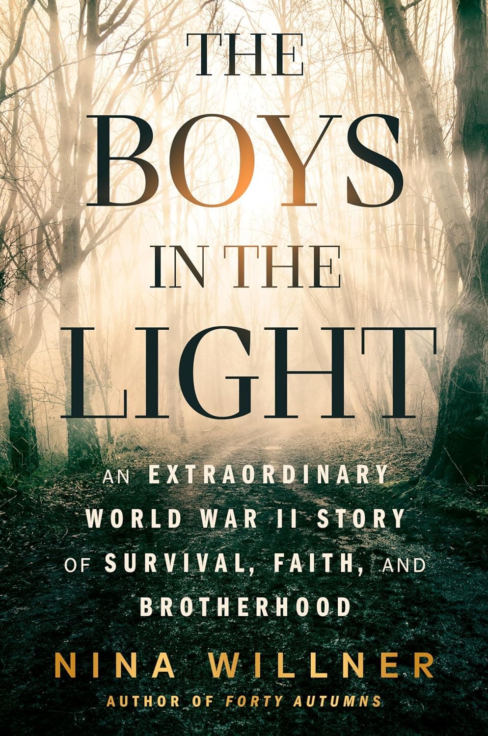 Cover of The Boys in the Light: An Extraordinary World War II Story of Survival, Faith, and Brotherhood by Nina Willner