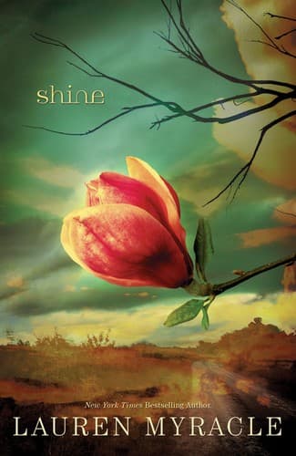 Cover of Shine by Lauren Myracle