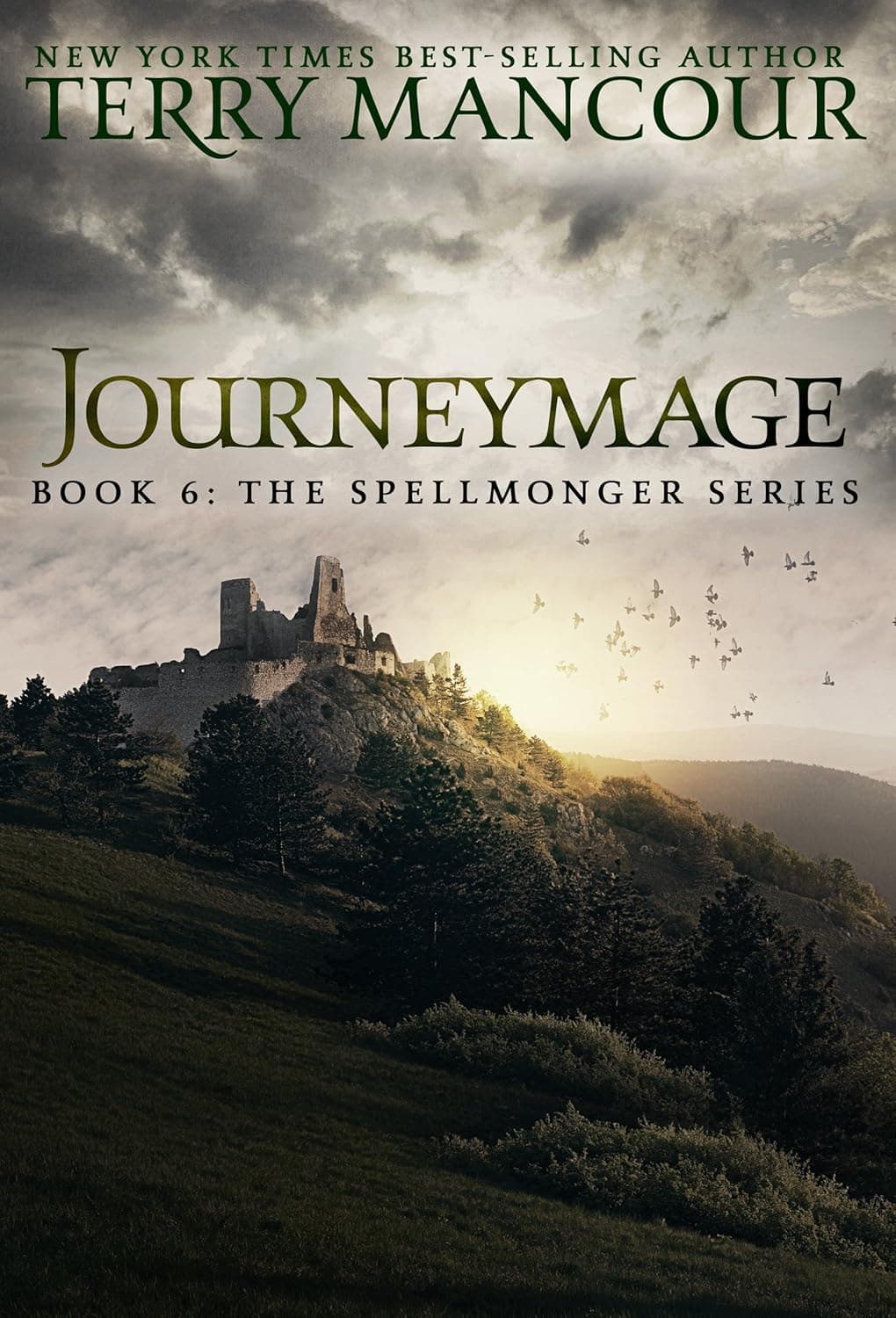 Cover of Journeymage by Terry Mancour