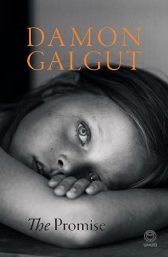 Cover of The Promise by Damon Galgut