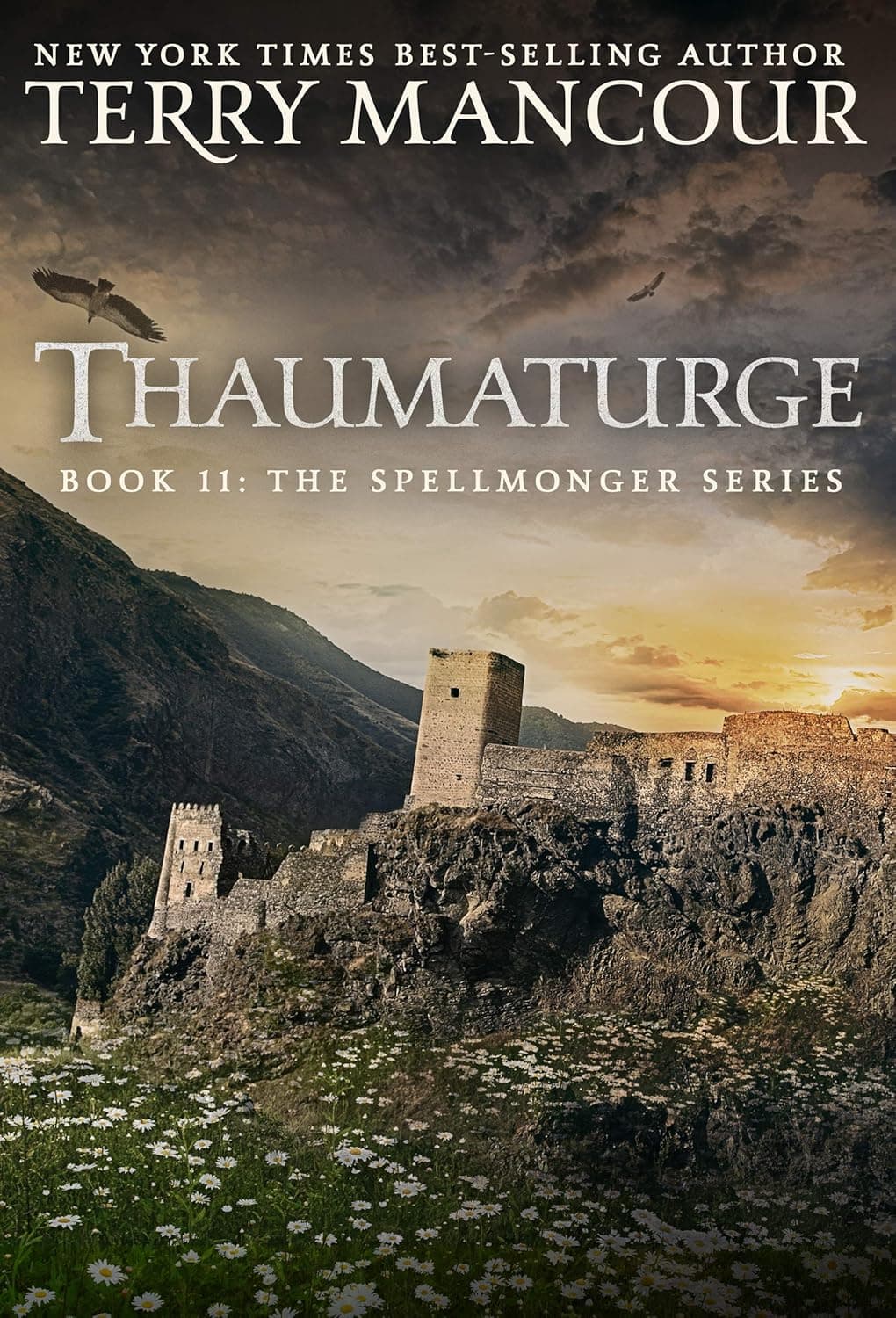Cover of Thaumaturge by Terry Mancour