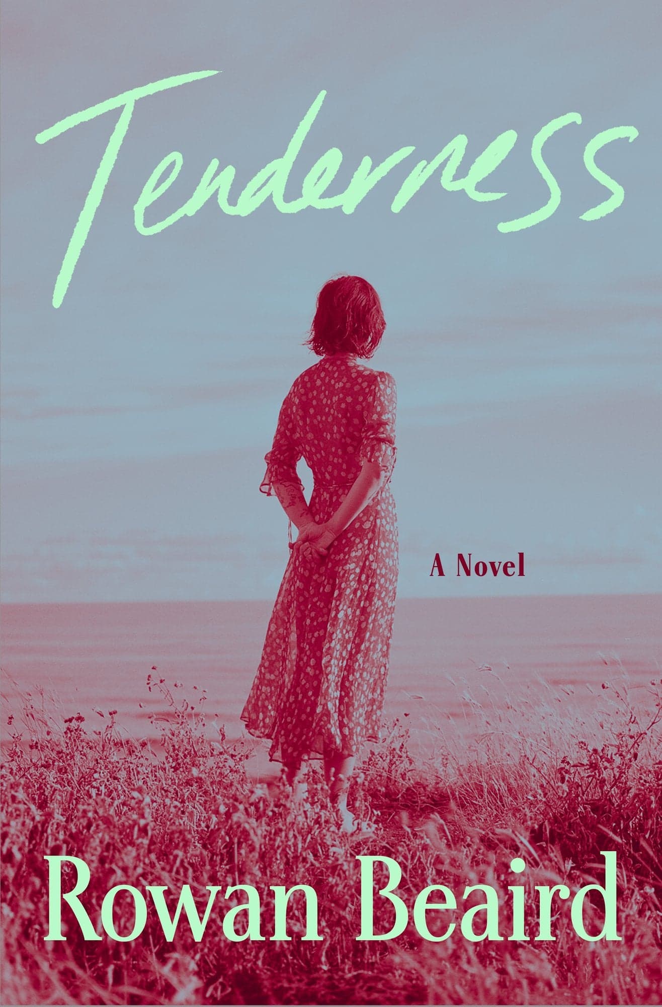 Cover of Tenderness by Rowan Beaird