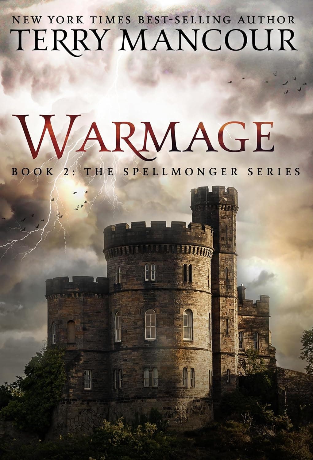 Cover of Warmage by Terry Mancour